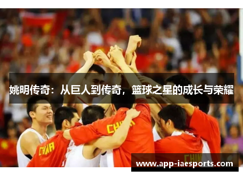 姚明传奇：从巨人到传奇，篮球之星的成长与荣耀