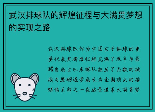 武汉排球队的辉煌征程与大满贯梦想的实现之路