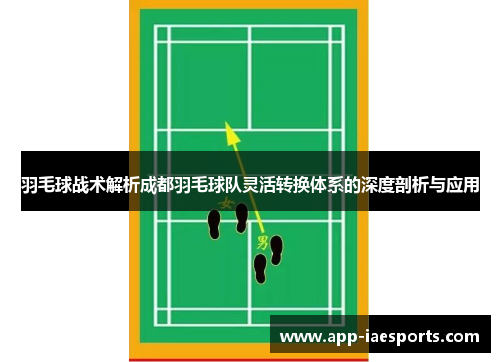 羽毛球战术解析成都羽毛球队灵活转换体系的深度剖析与应用