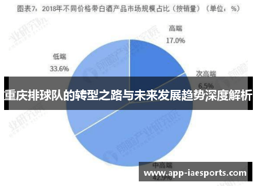 重庆排球队的转型之路与未来发展趋势深度解析